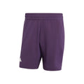 7Inch Ergo Shorts Hommes - lilas