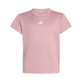 vieux rose_34467