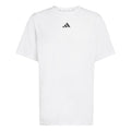 D4T Essentials T-shirt Hommes-blanc