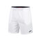 ***SHORT BELEZ