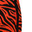 Tiger tech Shorts