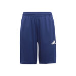 Vêtements adidas Training Essentials 3 Stripes Shorts