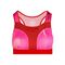Singa Tech Bra - blue/rose