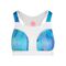 Singa Tech Bra - blue/rose