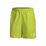 Dri-Fit Shorts